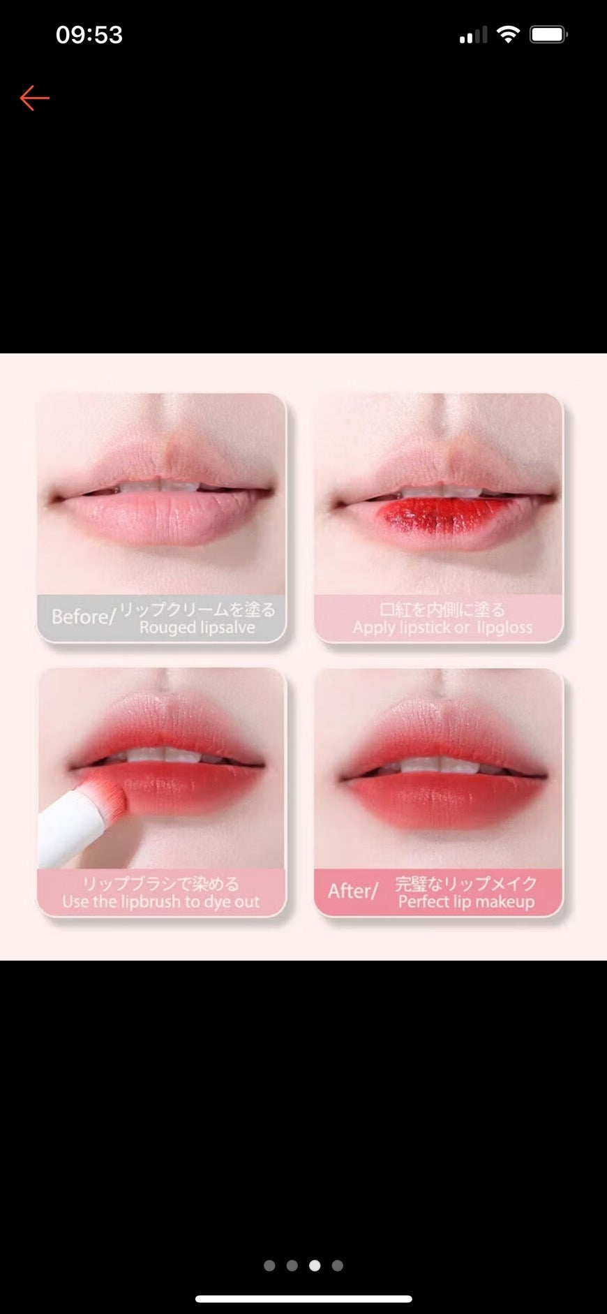 Oni Multifunctional Lip Brush โอนิ แปรงทาลิปทรงกลม แบบมัลติฟังก์ชั่น ขนแปรงสีชมพูซากุระ